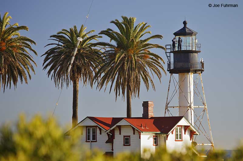 Cabrillo National Monument-new lighthouse San Diego, CA   Jan. 2013