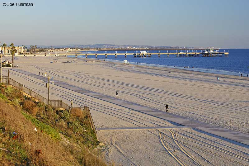 Belmont PierLong Beach, CA Jan. 2013