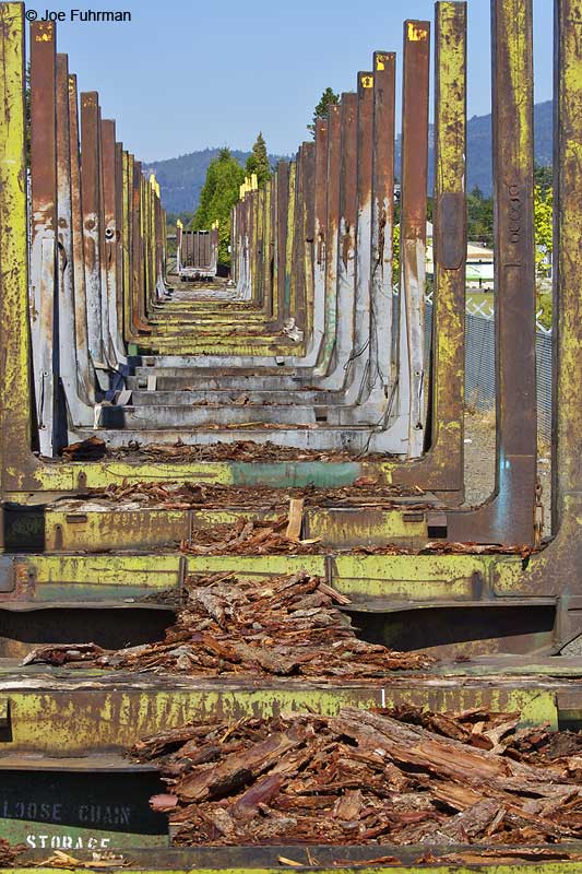 Logging train cars-Cottage Grove, OR Lane Co., OR September 2009
