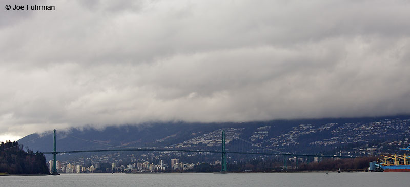 Lions Gate Bridge viewed from Stanley Park Vancouver, B.C., Canada Feb. 2013