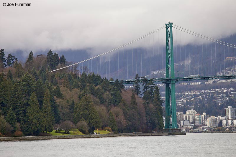 Lions Gate Bridge viewed from Stanley Park Vancouver, B.C., Canada Feb. 2013