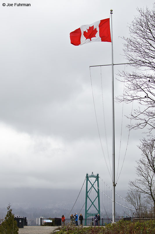Stanley Park-Prospect Point Vancouver, B.C., Canada Feb. 2013