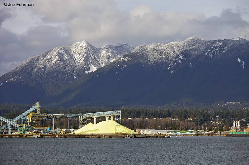 Sulphur Pile Vancouver, B.C., Canada Feb. 2013