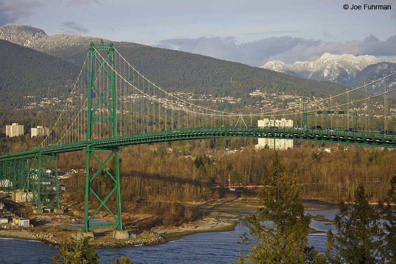 Lions Gate Bridge Vancouver, B.C., Canada Feb. 2013