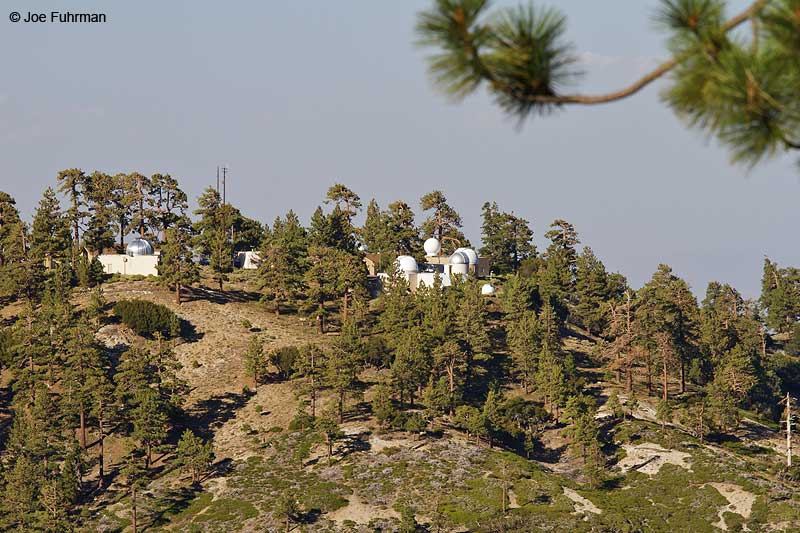 Observatory above Wrightwood, CAAngeles N.F. Aug. 2010