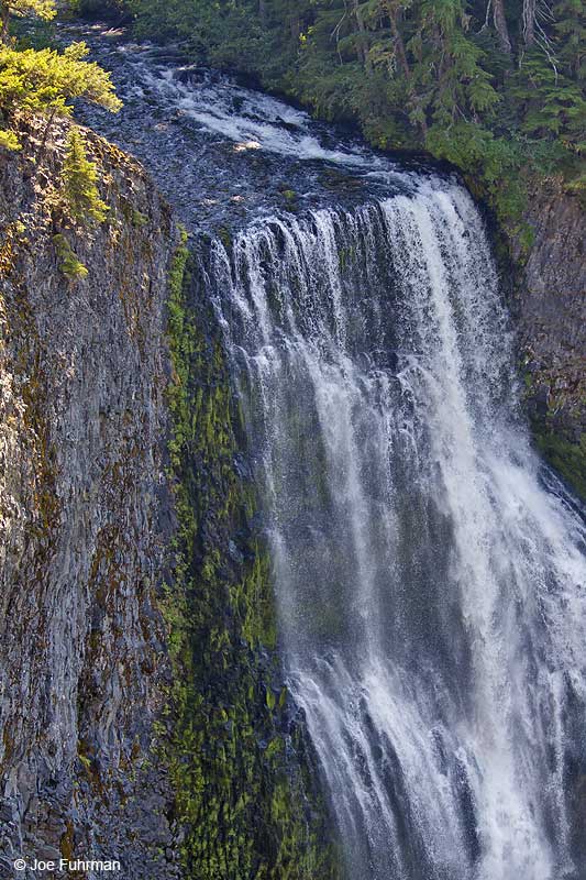 Salt Creek Falls S.P.Lane Co., OR September 2009