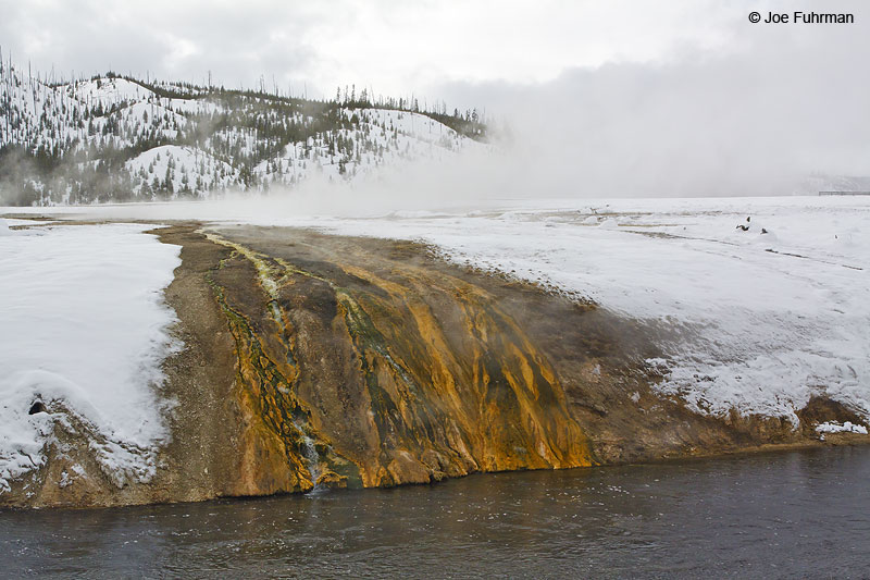Hot spring flow Yellowstone National Park, WY February 2010