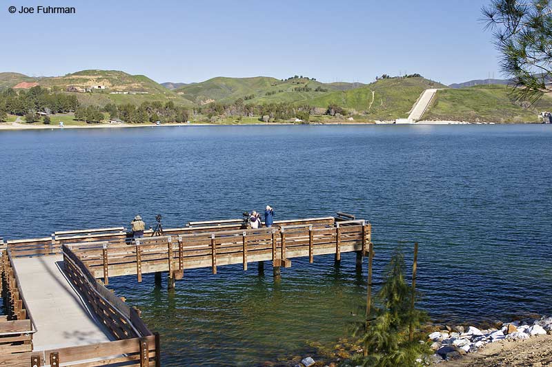 Castaic Lake, lagoon area L.A. Co., CA March 2010