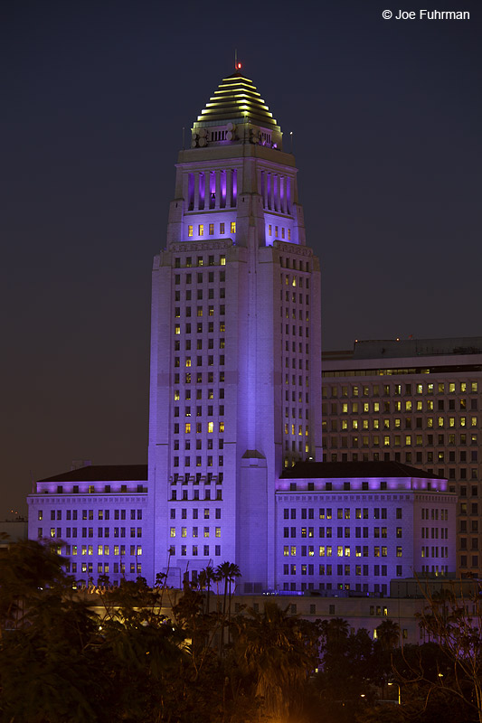 L.A. City Hall (lavender color for Gay Pride month)L.A. Co., CA June 2012