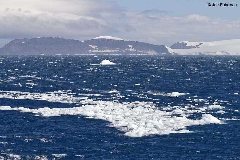 Half Moon Island South Shetland Islands (sub Antarctic) Nov. 2010