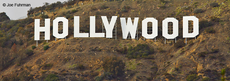 Hollywood Sign L.A. Co., CA December 2009
