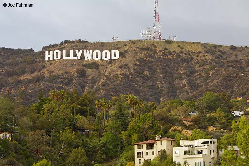 Hollywood Sign L.A. Co., CA December 2009