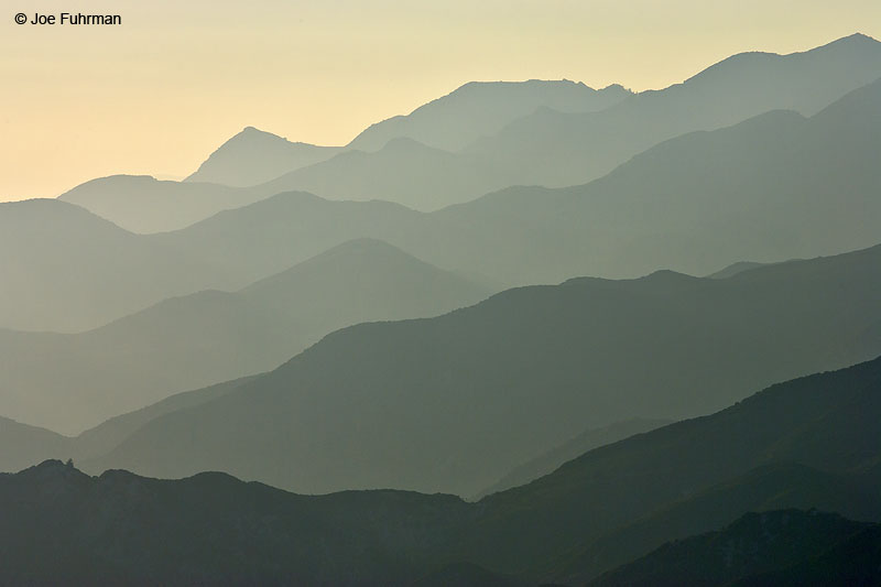 San Gabriel Mtns.L.A. Co., CA August 2006