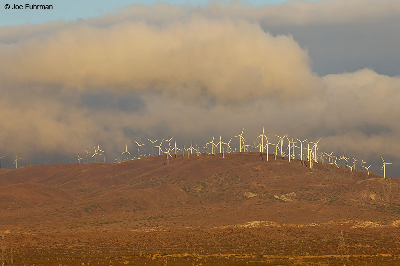Windmills near Mojave, CA (Kern Co.) Oct. 2010