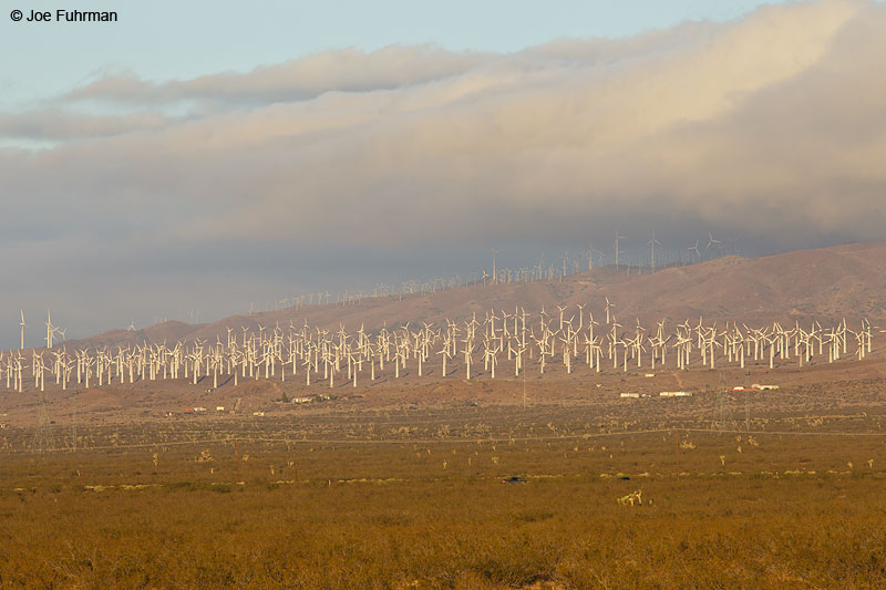 Windmills near Mojave, CA (Kern Co.) Oct. 2010