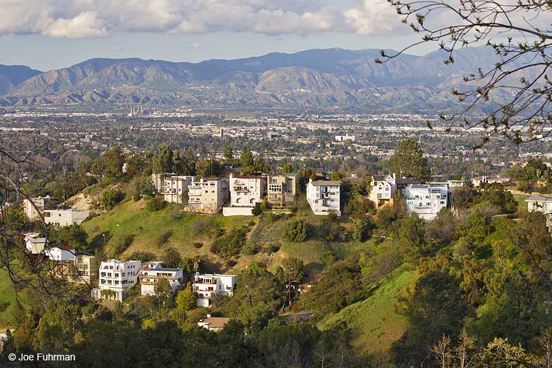 Sherman Oaks viewed from Mulholland Dr. L.A., CA Feb. 2011