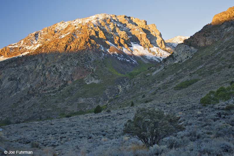 Carson Peak Mono Co., CA Oct. 2010