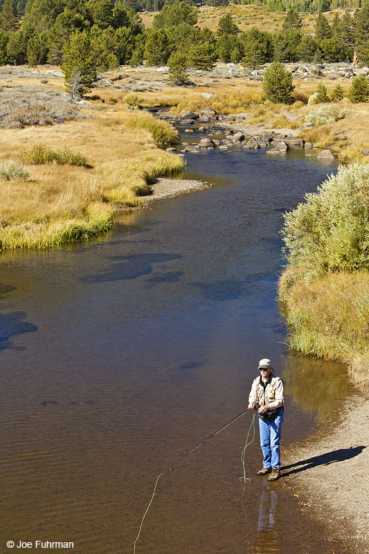 East Fork-Carson RiverAlpine Co., CA Oct. 2010