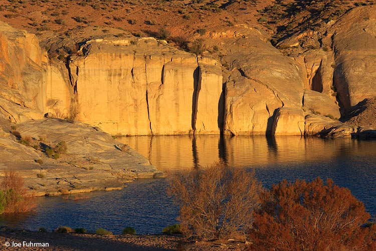 "The Coves"-Lake Powell, AZJuly 2011
