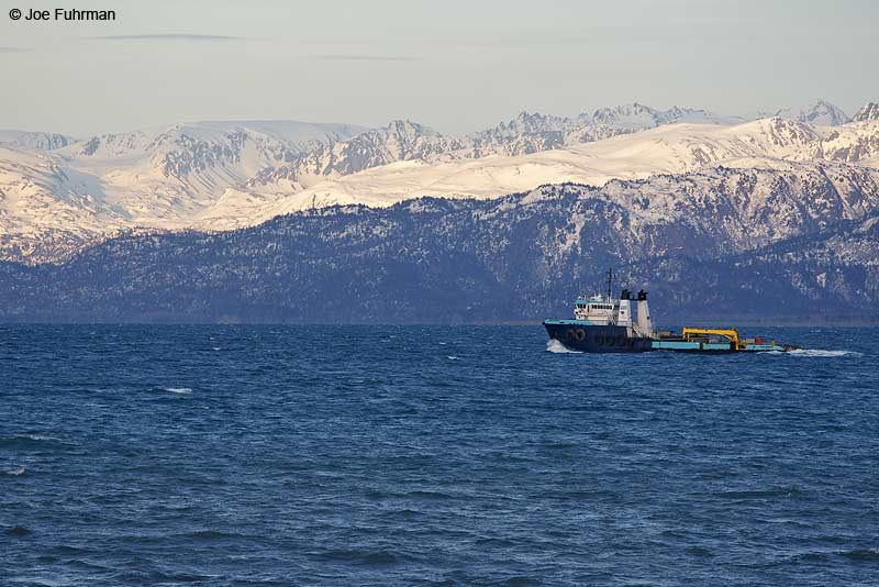 Kachemak Bay St. Pk., viewed from Homer, AK March 2011