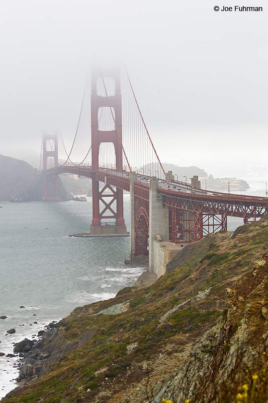 Golden Gate Bridge viewed from The Presidio. San Francisco, CA July 2010