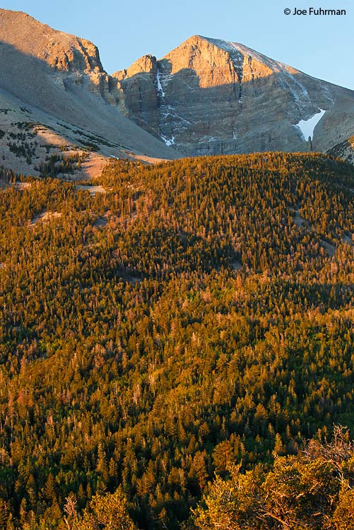 Great Basin National Park, NV Sept. 2011