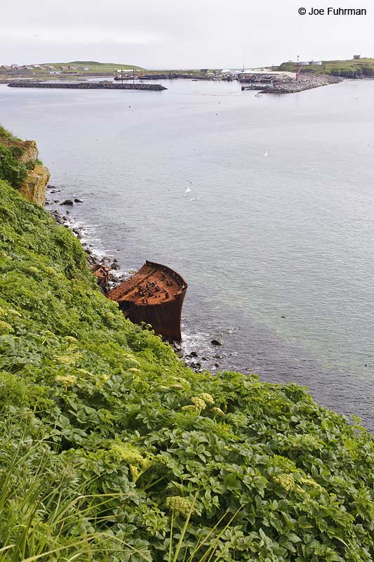 Shipwreck St. Paul Island, AK Aug. 2010