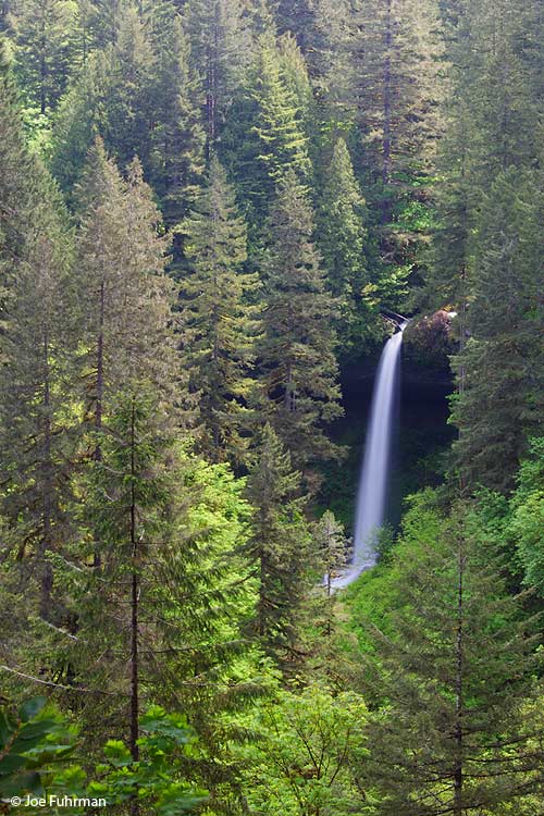 Silver Falls State Park, OR    June 2011