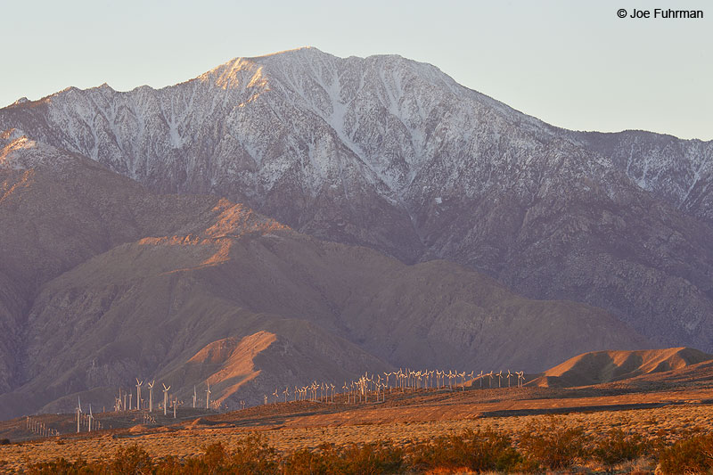 Mt. San Jacinto Riverside Co., CA Dec. 2010