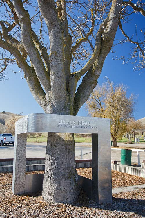 James Dean Memorial Tree Cholame, CA Nov. 2011