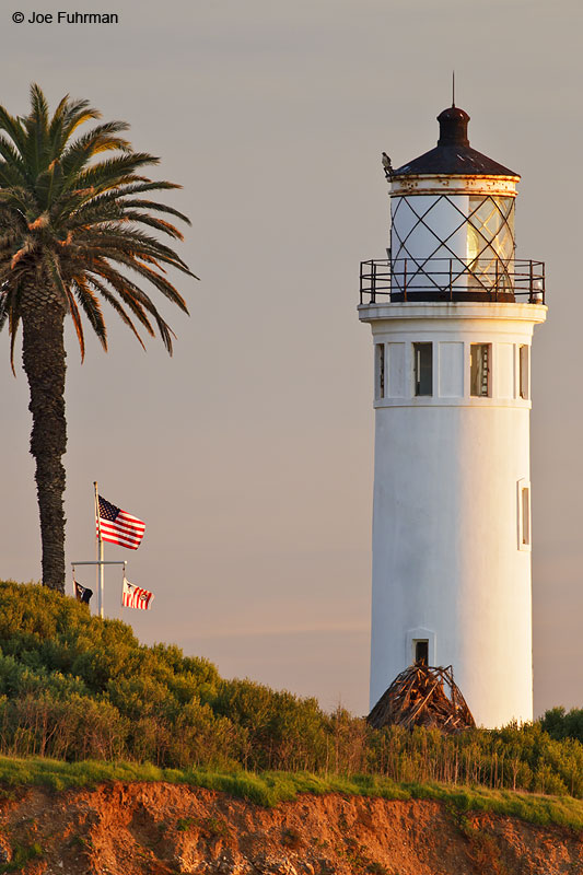 Pt. Vicente Lighthouse Rancho Palos Verdes, CA Jan. 2011