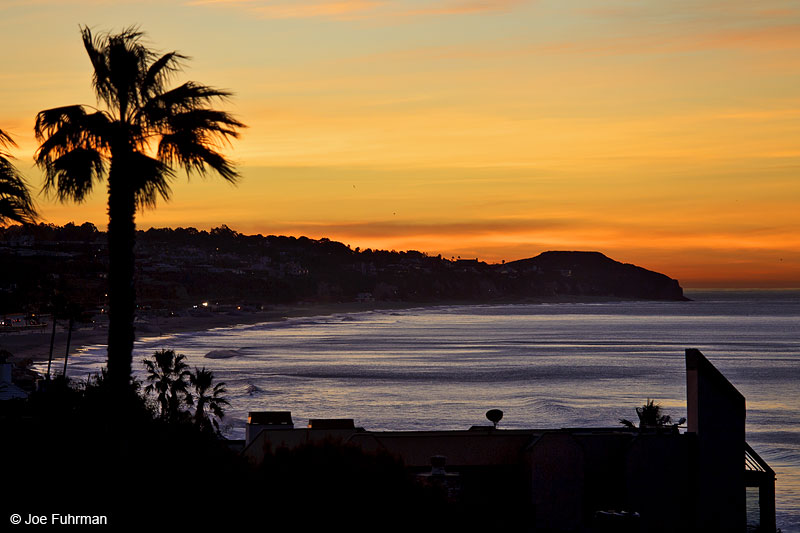 Point Dume-Malibu, CAJan. 2011