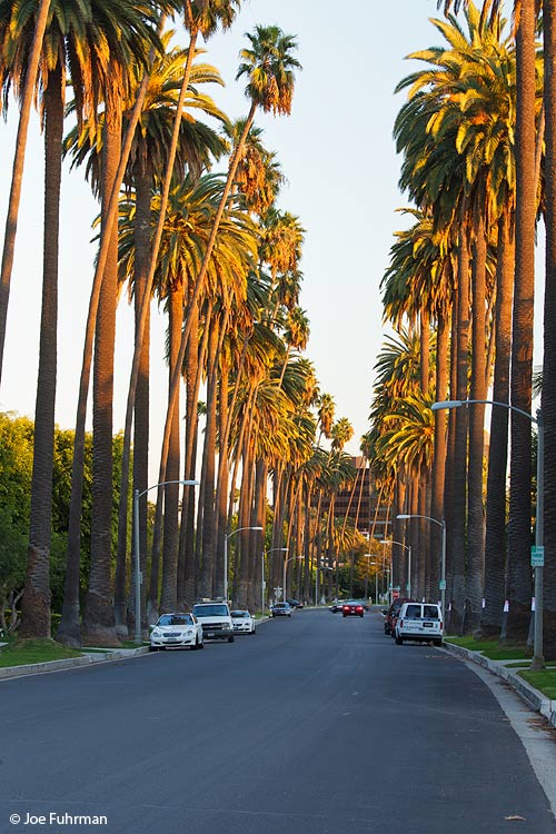 Bedford Drive Beverly Hills, CA Dec. 2011