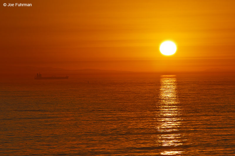 L.A. Harbor San Pedro, CA Jan. 2011