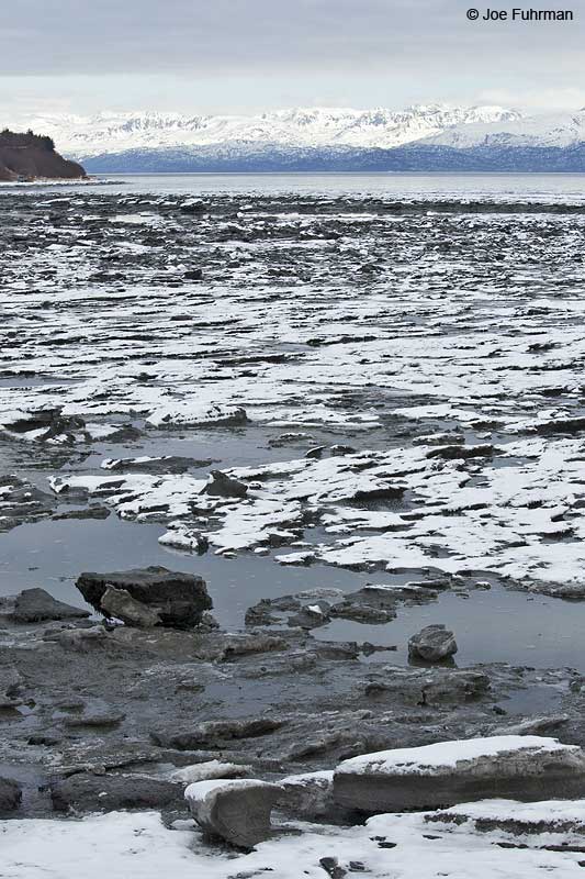 View of Kachemak Bay & Kenai Mtns. from Homer Spit Homer, AK March 2011