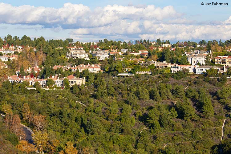 Bel Air L.A., CA Dec. 2011