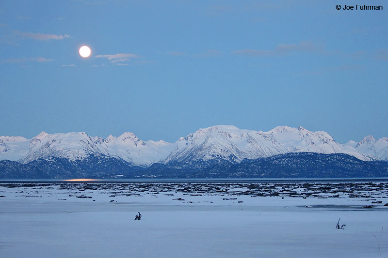 Moonrise over Kachemak Bay Homer, AK March 2011