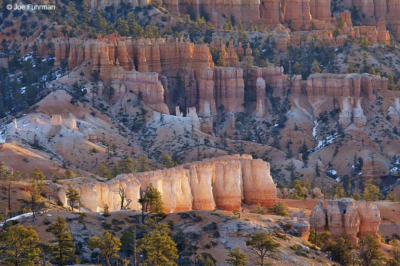 Bryce Canyon N.P., UT Feb. 2011