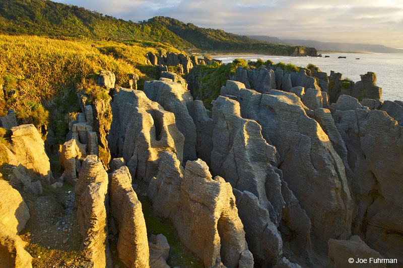 Pancake RocksPaparoa National Park, New Zealand   Dec. 2014