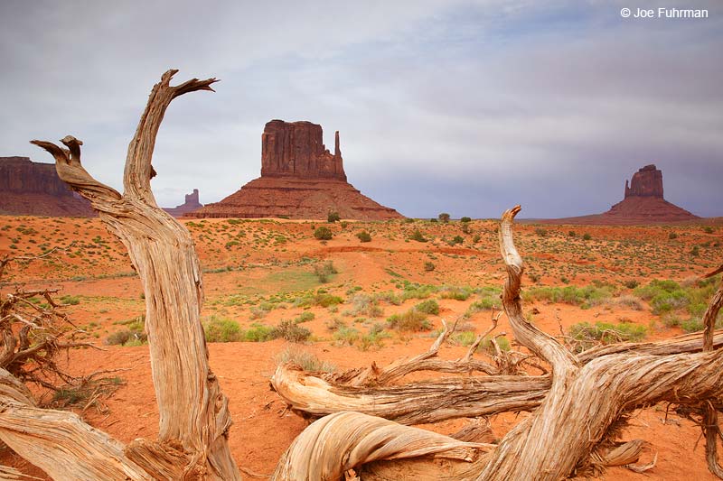 Monument Valley Navajo Tribal Park,  AZ   May 2015