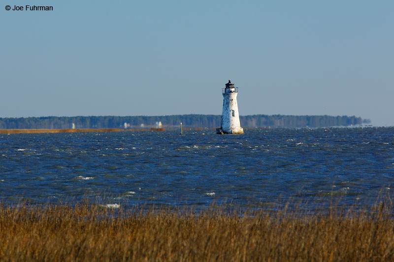 Corkspur Island Lighthouse, GA Feb. 2015