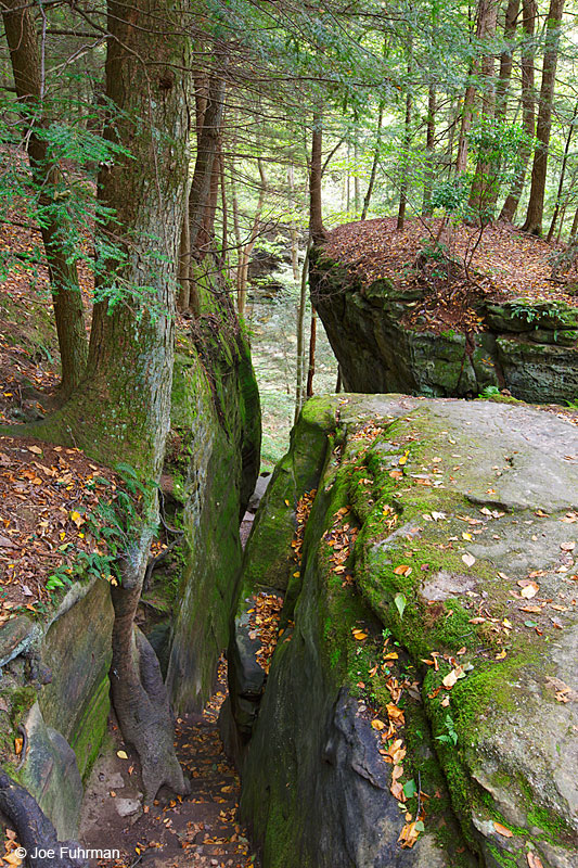 Cantwell CliffsHocking Hills State Park, OH   October 2015