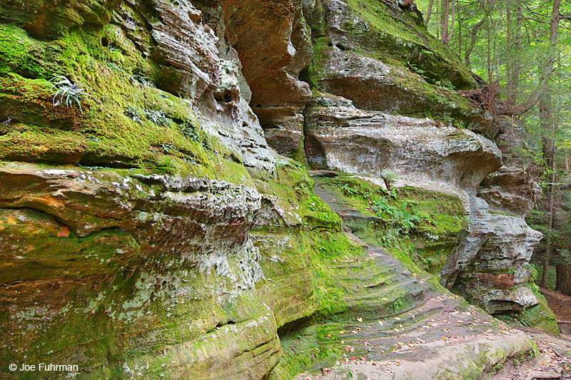 Cantwell CliffsHocking Hills State Park, OH   October 2015