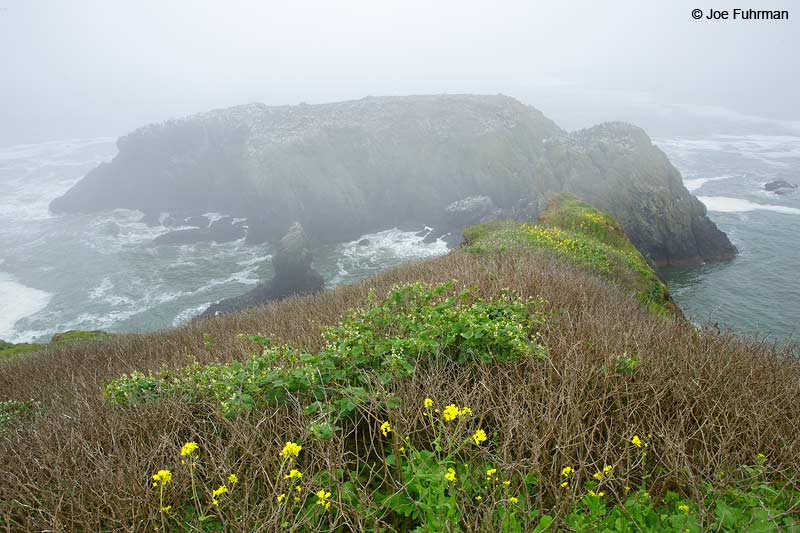 Yaquina Head Outstanding Natural AreaNewport, OR May 2015