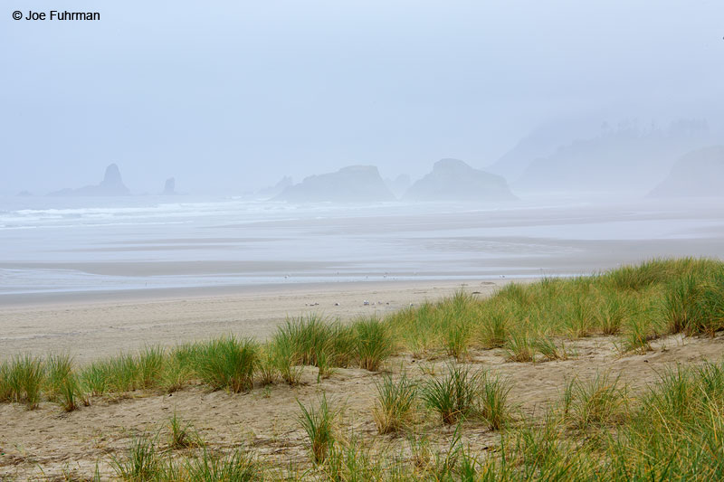 Cannon Beach, OR May 2015