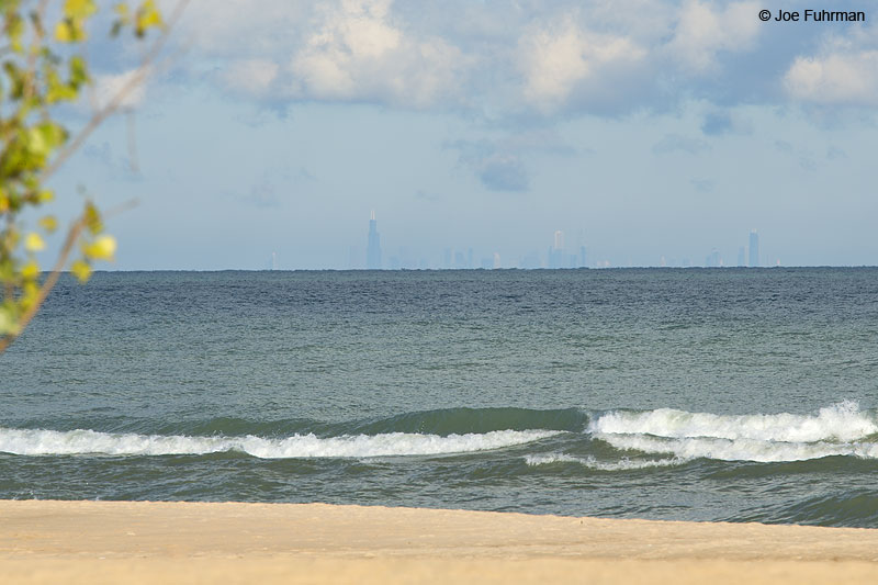 Chicago viewed from Indiana Dunes State Park, INSept. 2014