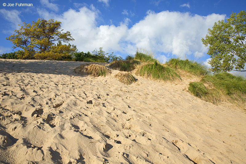 Indiana Dunes State Park, INSept. 2014