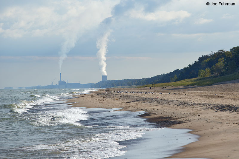 Indiana Dunes State Park, IN Sept. 2014