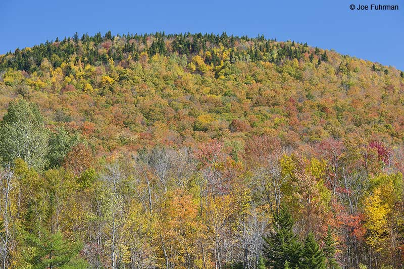 Franconia Notch State Park, NHOct. 2014