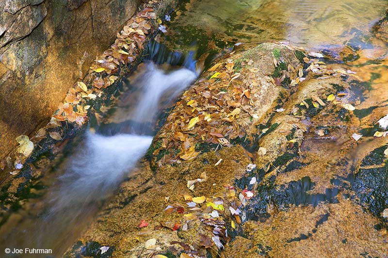 Franconia Notch State Park, NHOct. 2014